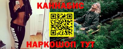 индика Будённовск