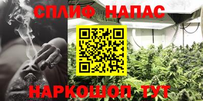 ПСИЛОЦИБИНОВЫЕ ГРИБЫ Бузулук
