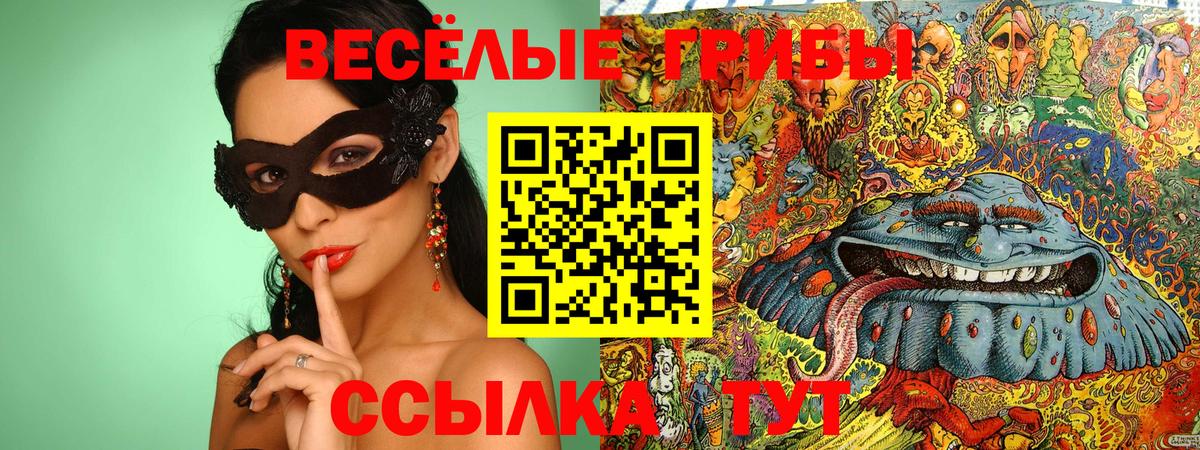 Галлюциногенные грибы мицелий Чистополь