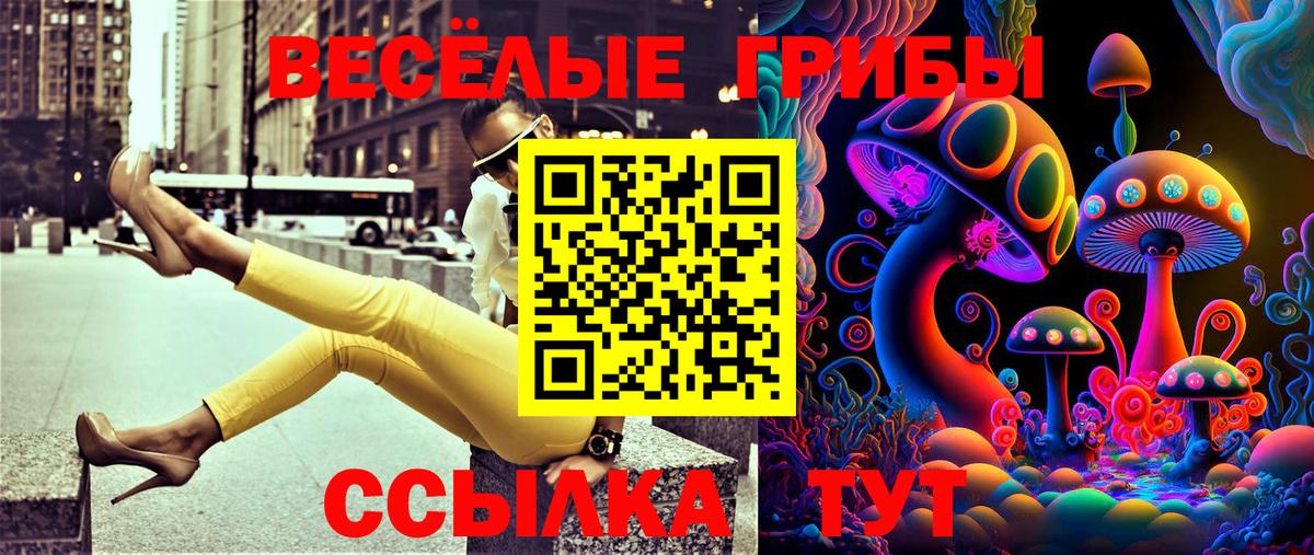 Псилоцибиновые грибы Cubensis  Вход с VPN  Чистополь 